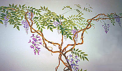 Wisteria Vine